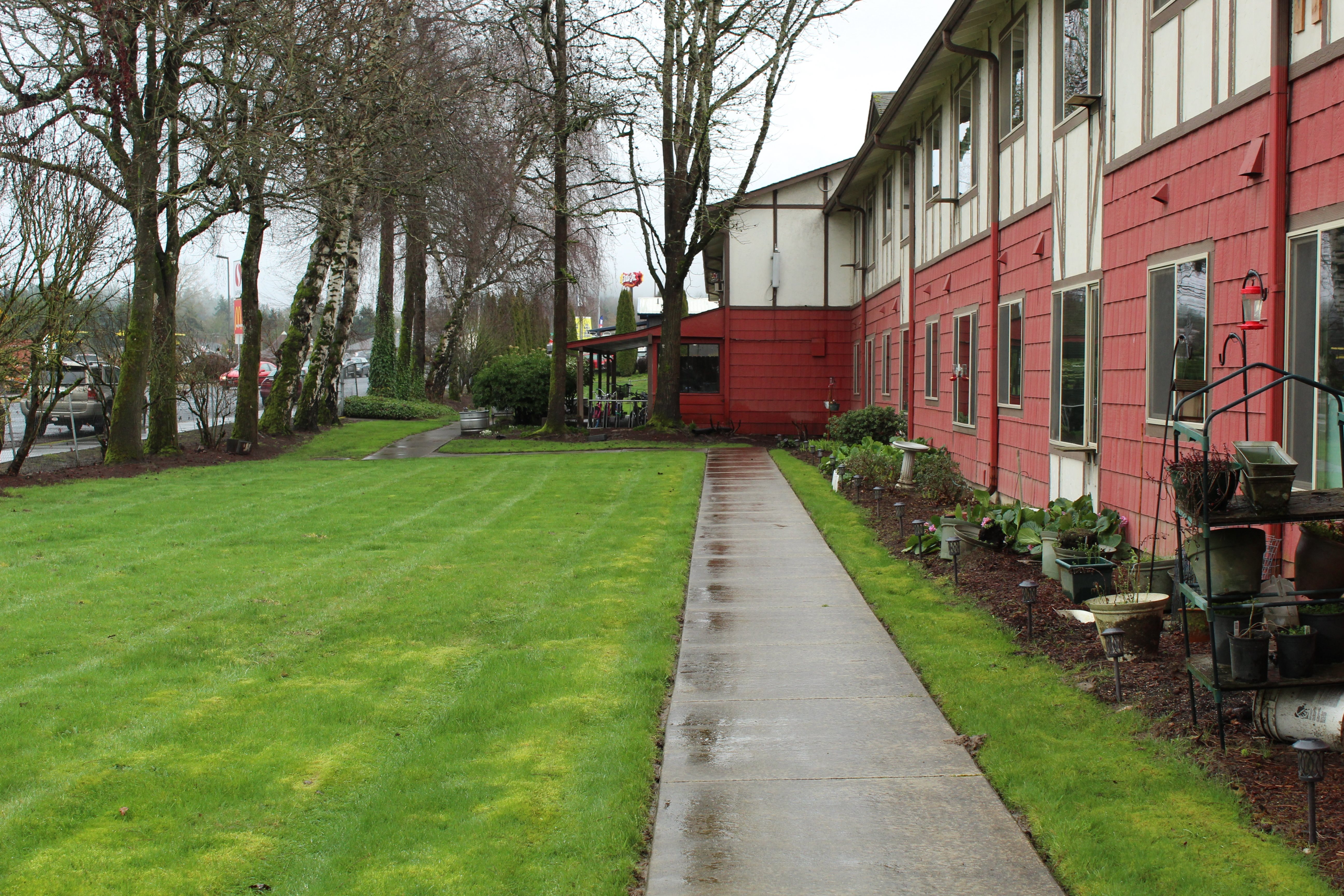 HH backyard east,HH backyard east